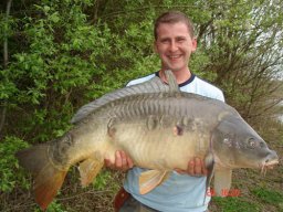 binnag_spiegler_sohn